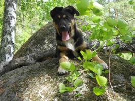 Моя Боняшка!