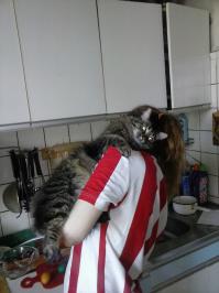 Мой всегда на кухне помогает)) точнее он так считает))