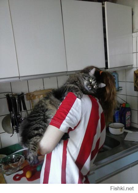Мой всегда на кухне помогает)) точнее он так считает))