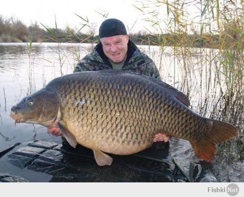 Фишкина солянка за 17.04.2014