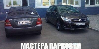 Фишкина солянка за 16.06.2014