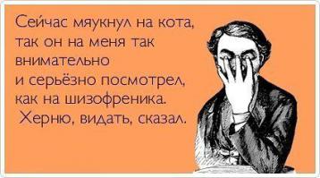 Фишкина солянка за 22.07.2014 