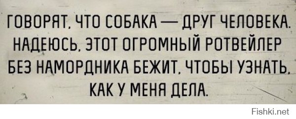 Советы о том, как себя вести при нападении собаки