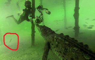 А это что??? Первый кирпич??? :)