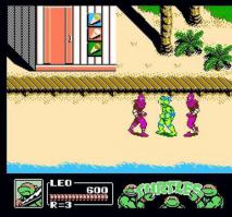 Картридж с этим шедевром достать было практически не возможно....
Мало кто знал "чит" на черепашек, если при старте "2 players" нажать одновременно 3 раза на обоих джойстиках "select" (кстати на втором джойстике не всегда была эта кнопка) черепашки получают по 99 жизней... Пробовал, работает   :)