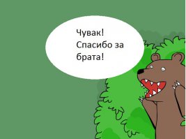 Мужчина спас огромного медведя, тонущего в океане