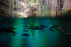 Боксы дорогие. Я например пользуюсь Dicapac S10, пакет для подводной съемки, стоил пару с чем то тыщ. зеркалку не потопил еще)