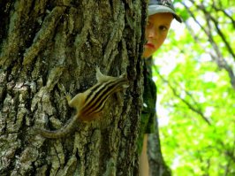 Сына заснял, когда тот с бурундуком в прятки играл)