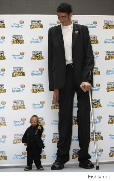 ну просто для контраста - Самый большой человек мира Sultan Kosen (его рост 246,5 см) и самый маленький человек мира He Pingping (его рост 74,61 см) стоят рядом во время открытия «Guinness World Records live roadshow» в Стамбуле.