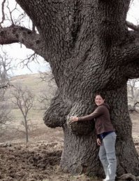 37 фотографий о том, что природа нас любит