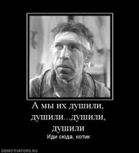 22 животных, которые не намерены дать своим хозяевам почитать