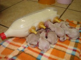 С легкостью вышли из трудного положения