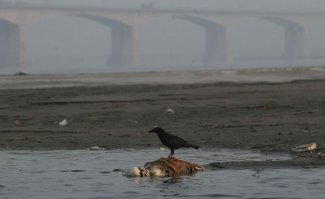 да у них там повсеместно такое, ну что за культура??