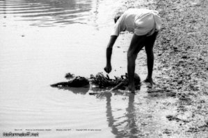 да у них там повсеместно такое, ну что за культура??