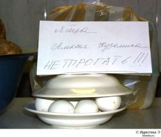Записки, которые могла написать только женщина