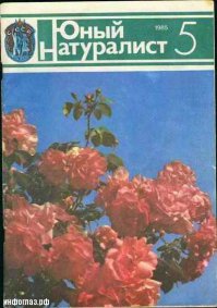 Самые популярные советские журналы