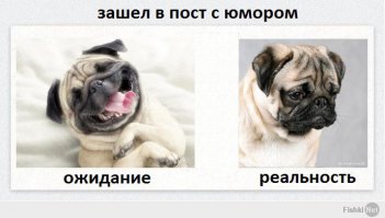 Ожидания и реальность