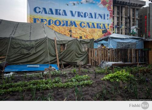 МАВРЫ СДЕЛАЛИ СВОЕ ДЕЛО, МАВРЫ МОГУТ УЙТИ...
Начался демонтаж майдана. Новым олигархам у власти абсолютно не нужен этот революционный бомжатник. Революция всегда пожирает своих детей. 
Со своими оппонентами новые власти будут разбираться жестко.
СТАДО СДЕЛАЛО СВОЁ ДЕЛО, ТЕПЕРЬ ПОРА В СТОЙЛО...