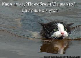 Что думает по этому поводу некий Барсик: