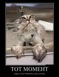 Тот самый...