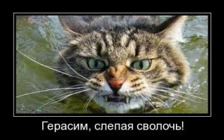 Попал..