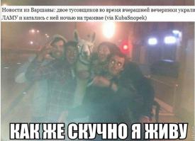 Весело у низ там!!!! Походу насмотрелись "Мальчишник в Вегасе"!!!!)))))