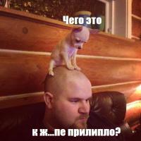 Подборка прикольных фоток