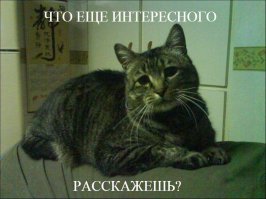 Новые культурные герои нового года