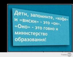 Фишкина солянка за 11.11.2014 