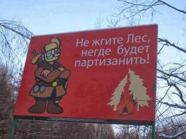 Фишкина солянка за 18.11.2014