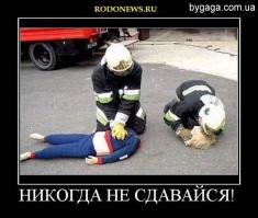 Фишкина солянка за 24.11.2014 