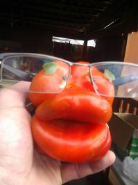 САМКА....для самееец