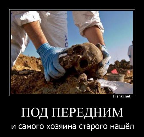 Заглянули под сиденье