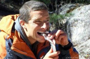 автор поста ;)