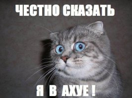 Странности из интернета