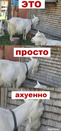 Грузчики 80 го уровня 