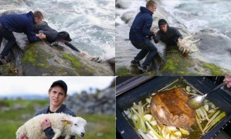 Бегемот спасает антилопу
