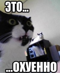 Спорт это красиво