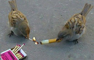 Нестандартные картинки