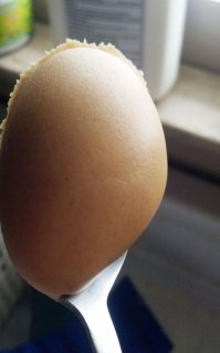 фу,что это такое?? чья-то лысина на ложке?