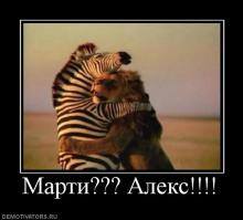 Странные и невероятные примеры дружбы животных