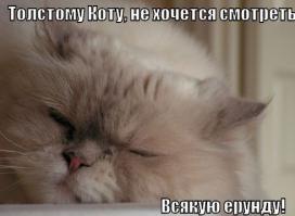 Подборка видео от 26.05.2014