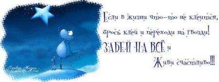 Фишкина солянка за 08.06.2014