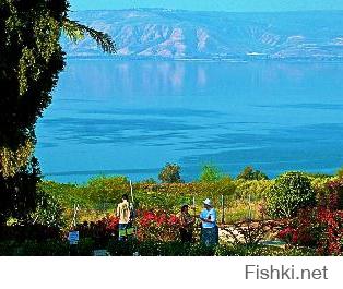 Кинерет. Тивериадское озеро.  Галилейское море.