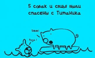 СВИЬЯ СПАСЕНА!!!