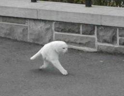 ААААААААААА!!!!