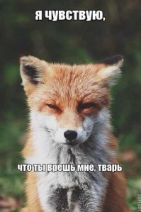 История из интернета