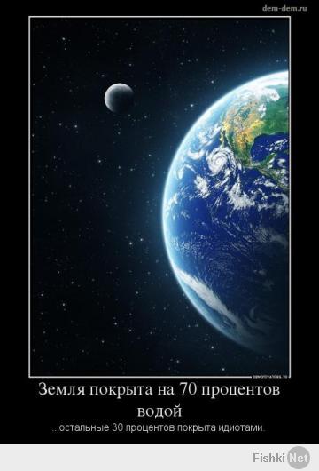 Фишкина солянка за 27.05.2014 