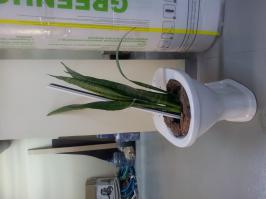 У коллег в подсобке сфотал:)