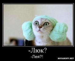 Смешные картинки с подписями